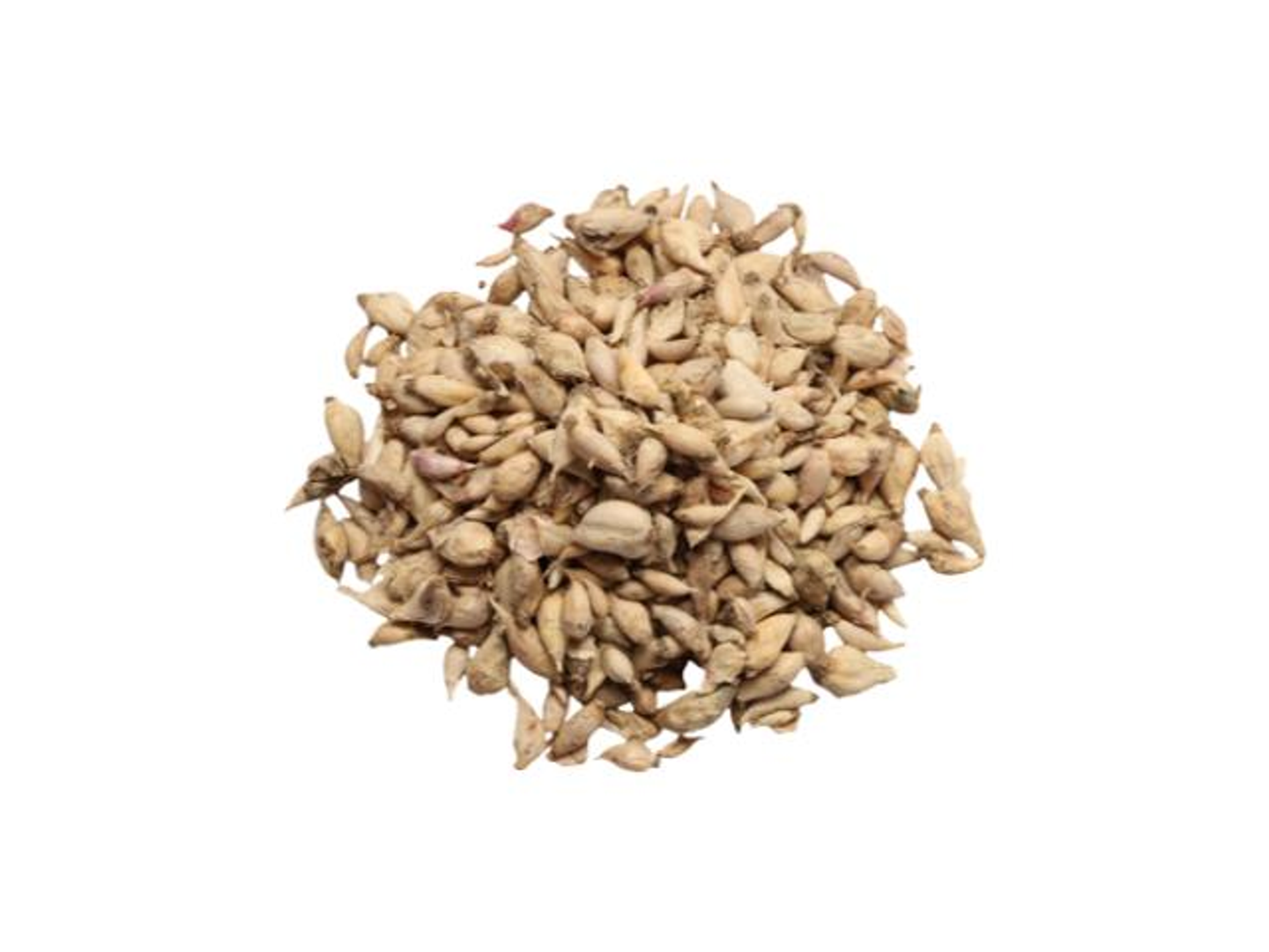 Yemeni Male Garlic Quarter Kilo