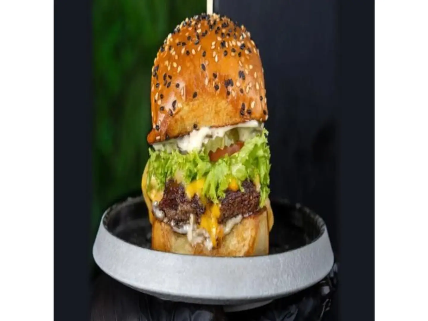 برجر واغيو ترافل