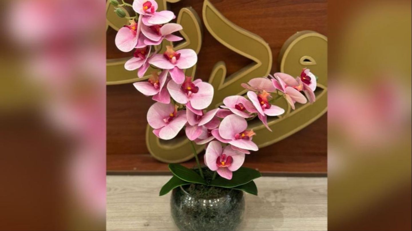 Plastic Orchid Vase 2