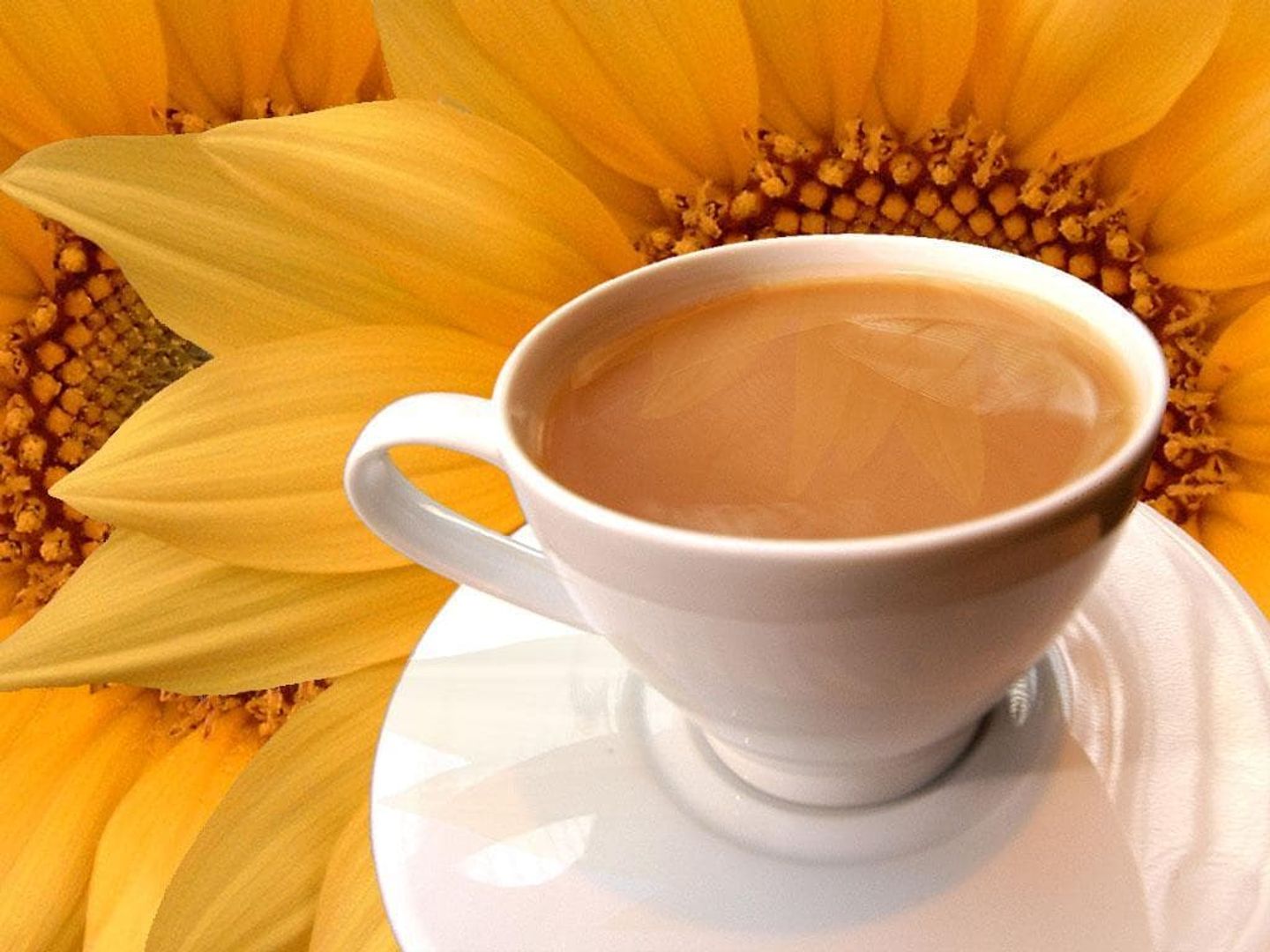 Karak Tea