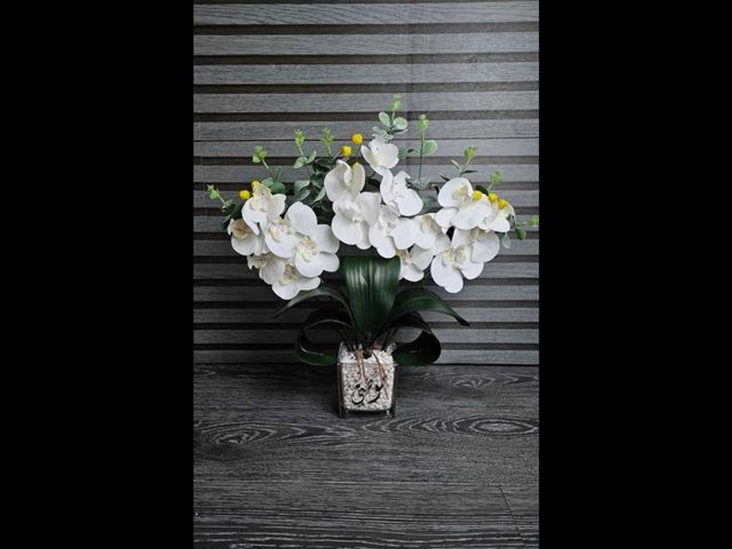Orchid