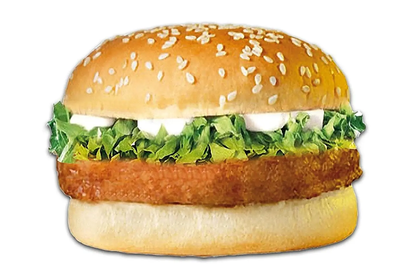 Chicken Burger