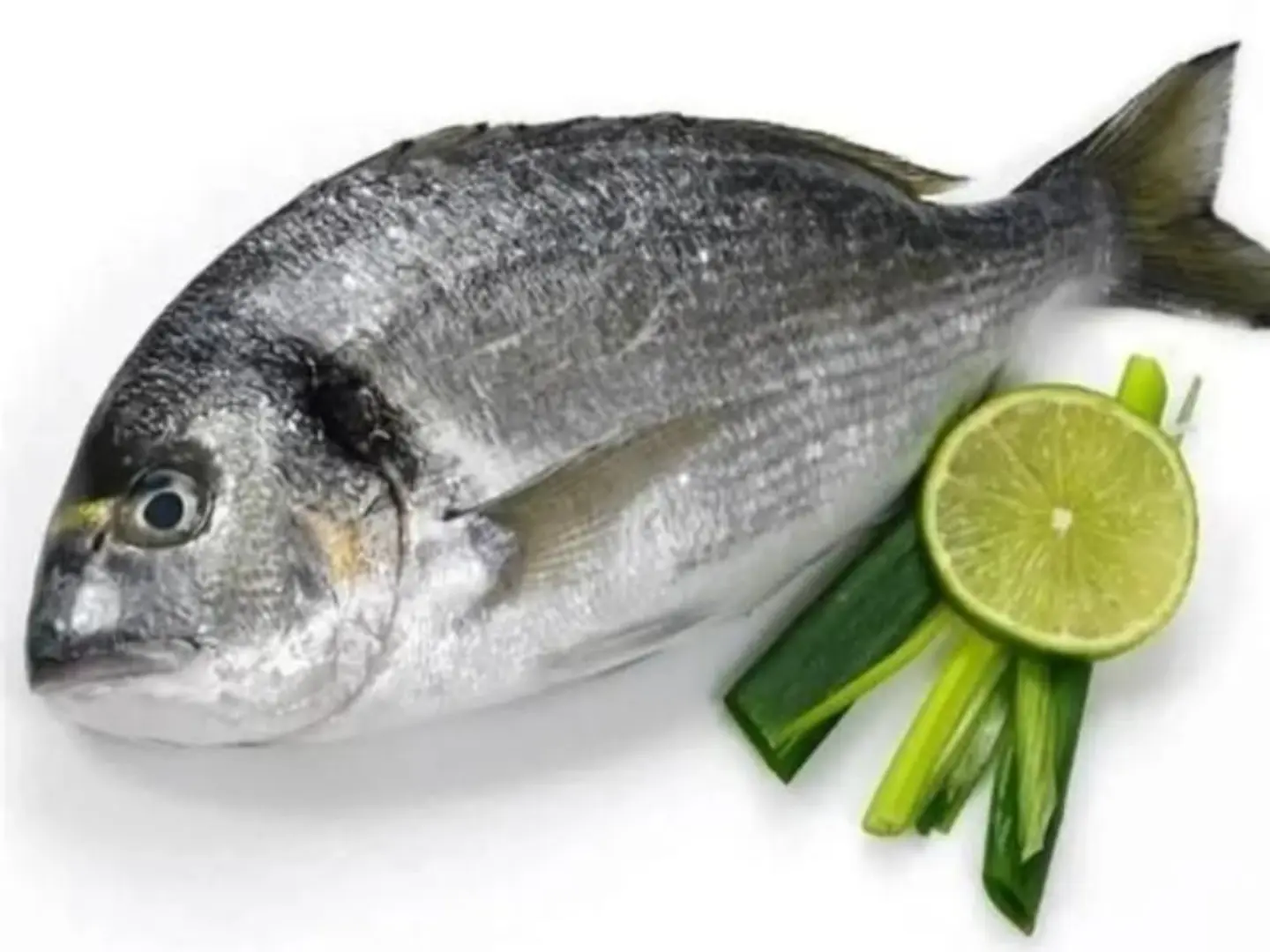 Sea Bream