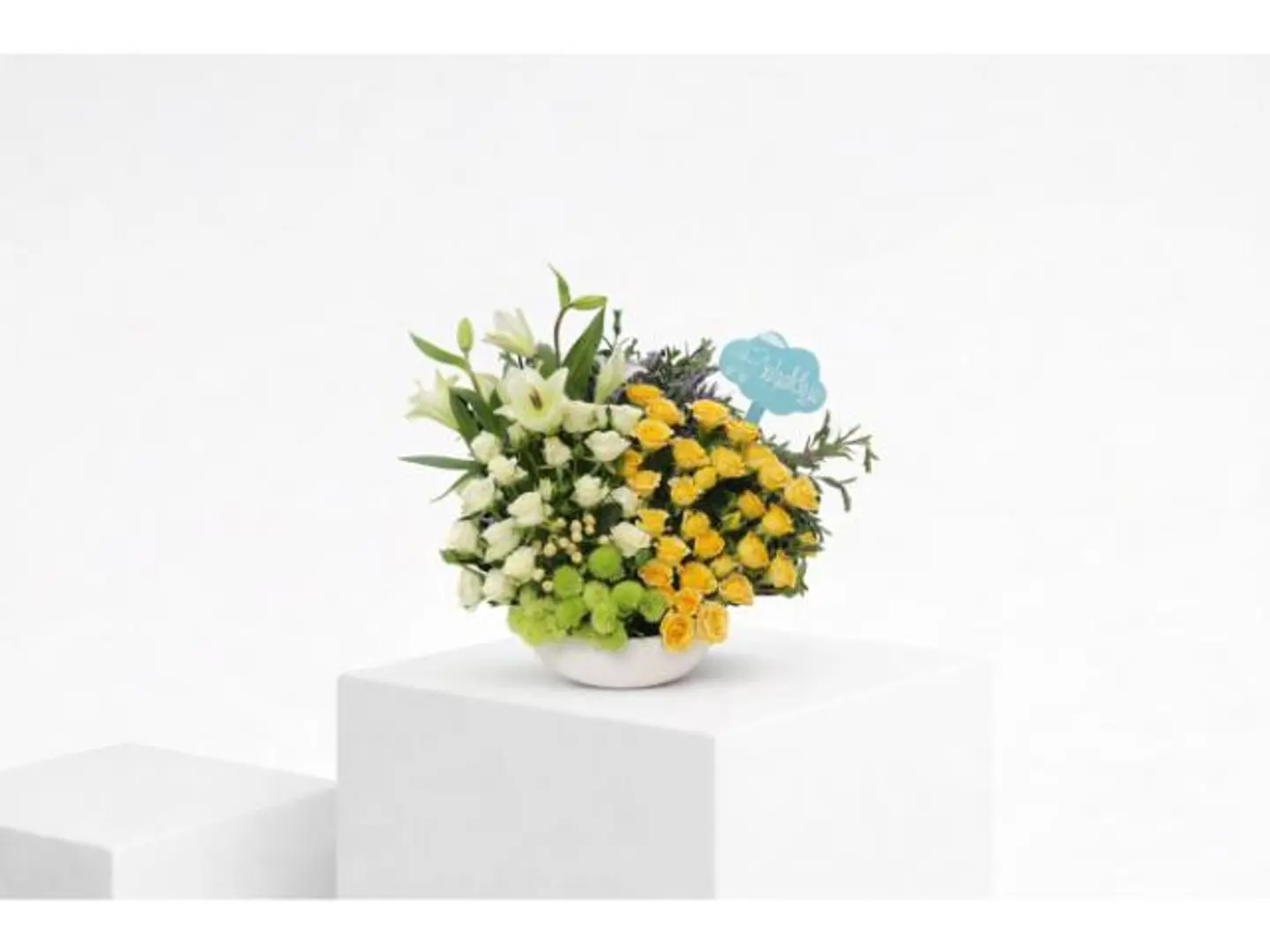 فازة مبروك المولود