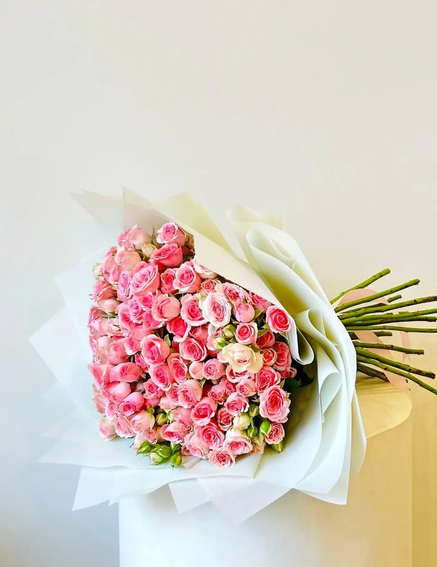 Engagement Package 1