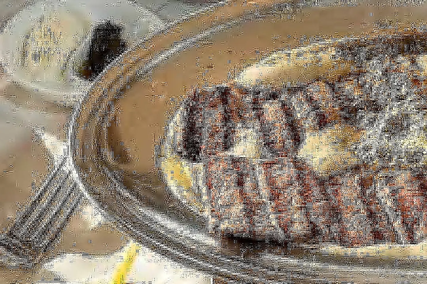 Entrecote