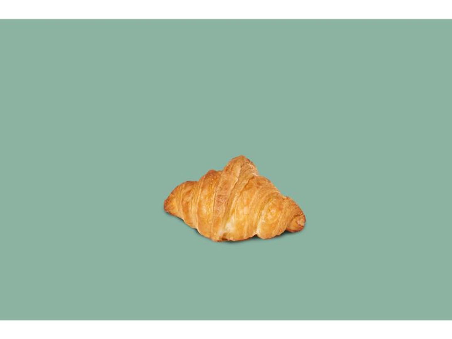 Plain Croissant
