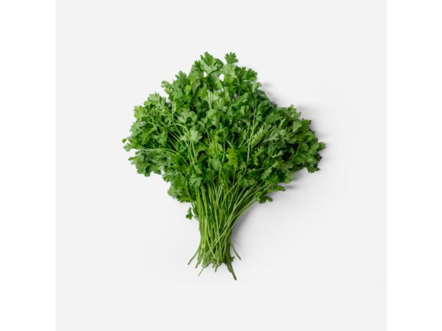 Coriander   Local   Per Bundle