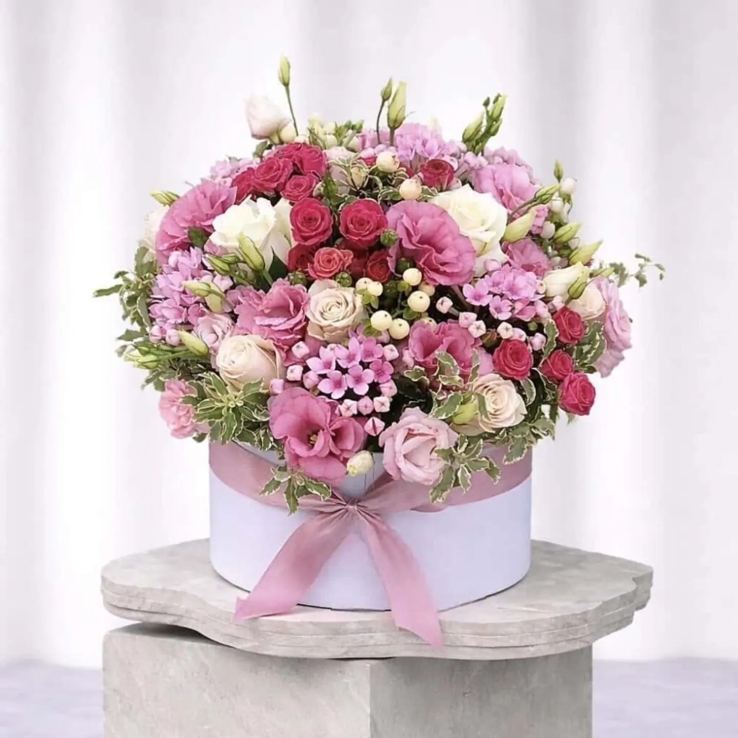 سيلينا بوكس