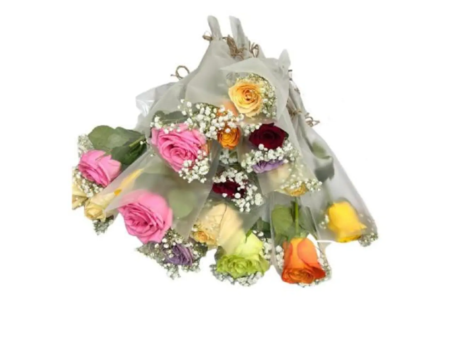 Mixed Single Roses 12 Stem 271
