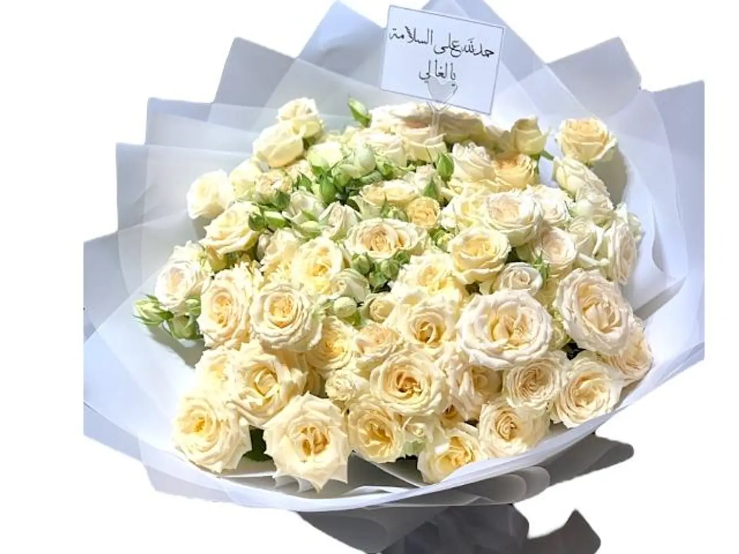 باقة شغف
