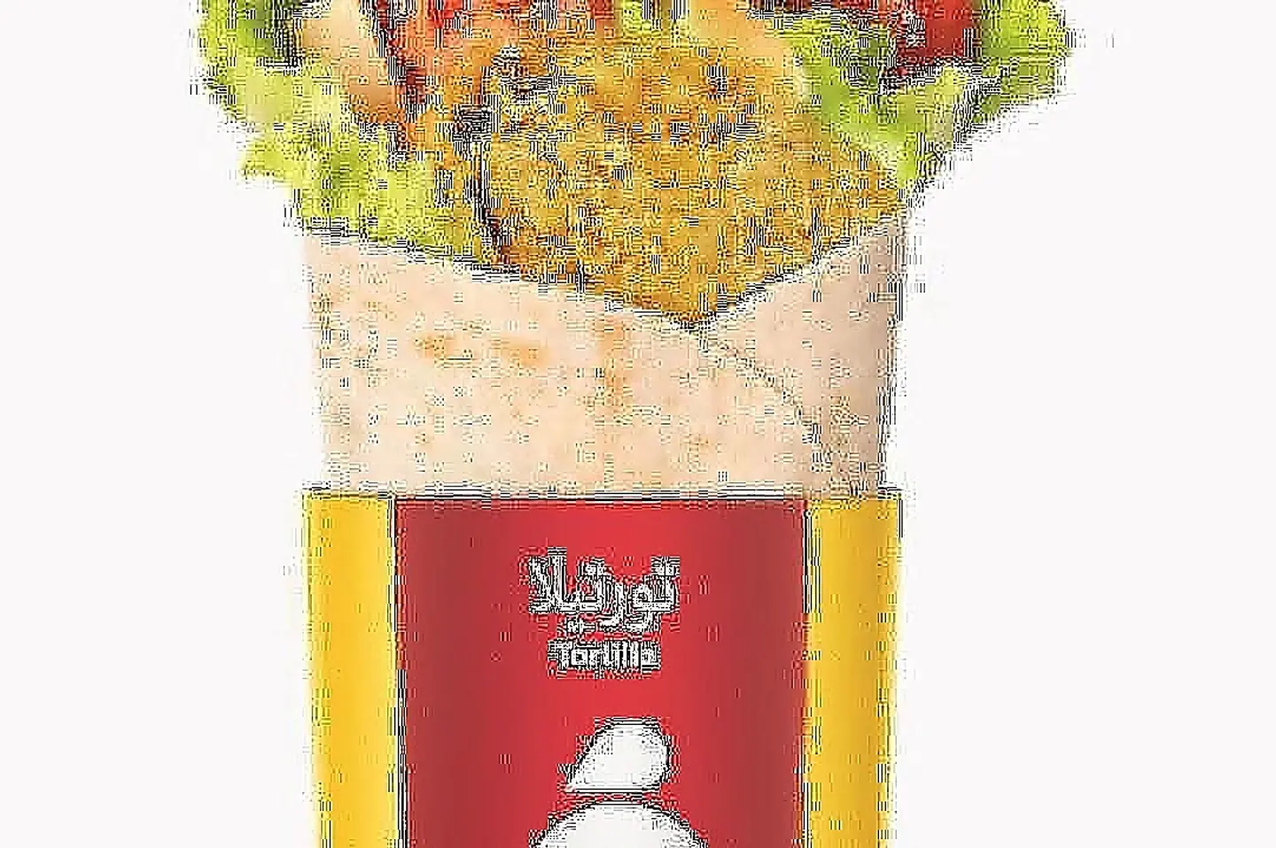 تورتيلا ستيك دجاج