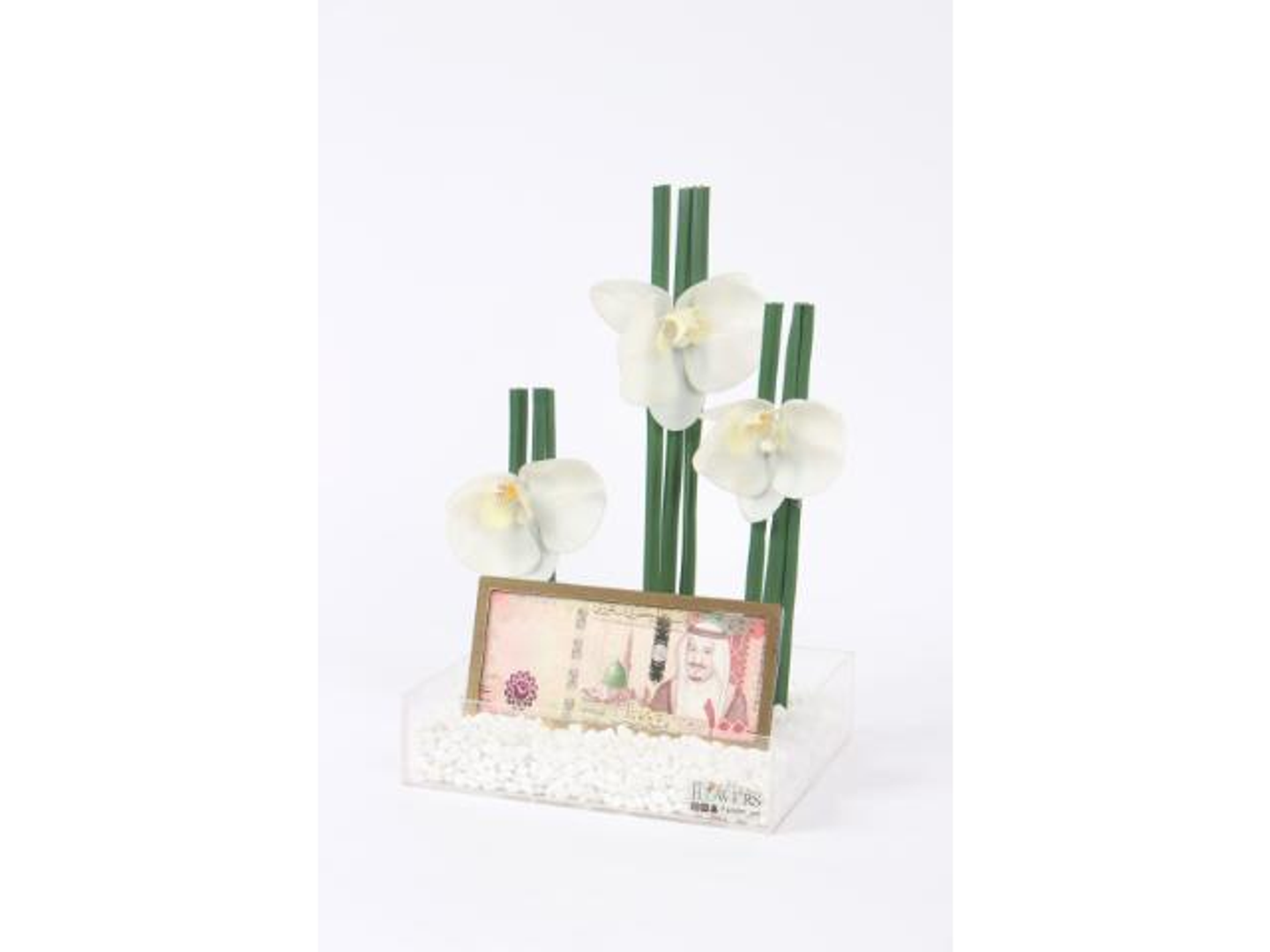 أغصان الاوركيد