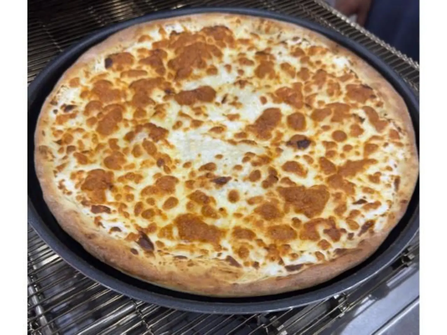 بيتزا عش البلبل