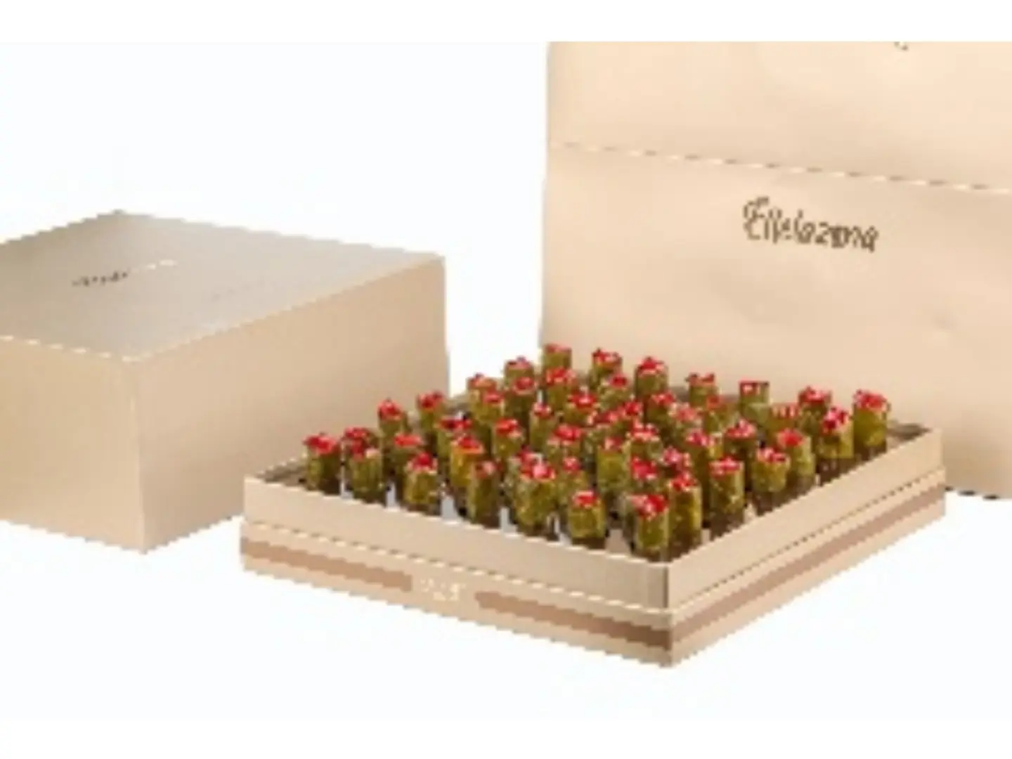 Sushi Grape Leaves Box