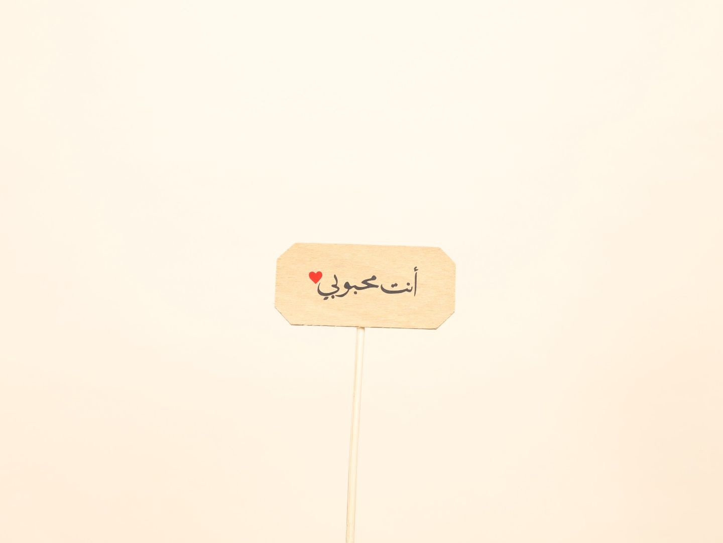 You Are My Love