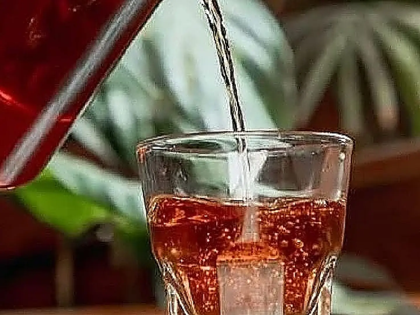 Black Tea