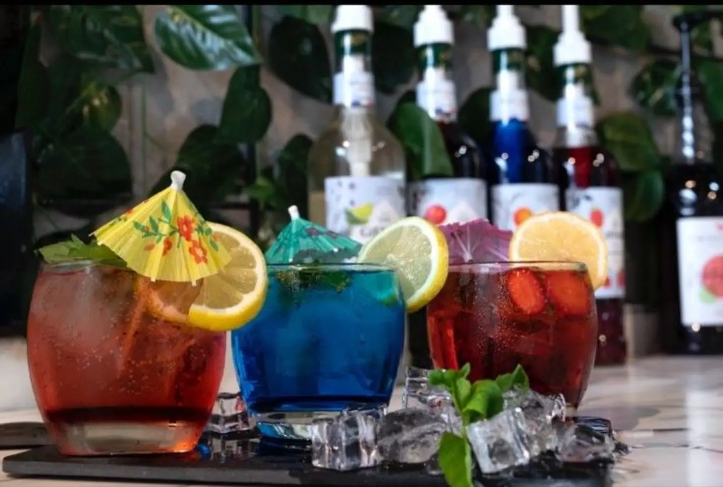 Watermelon Mojito