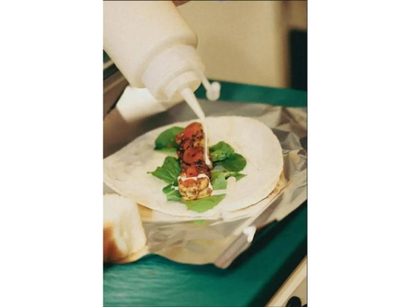 Special Grilled Sandwich