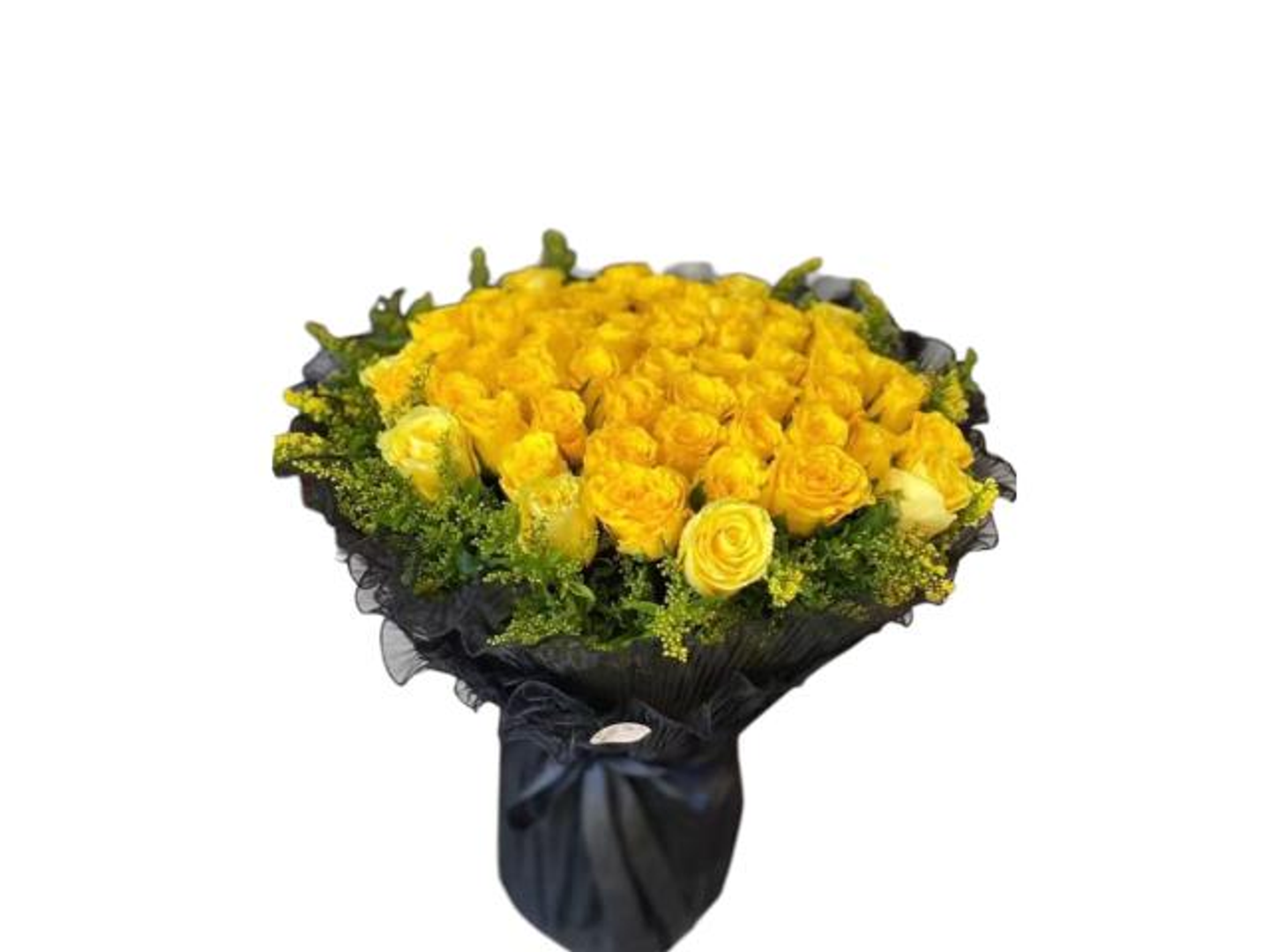 Day And Night Flowers