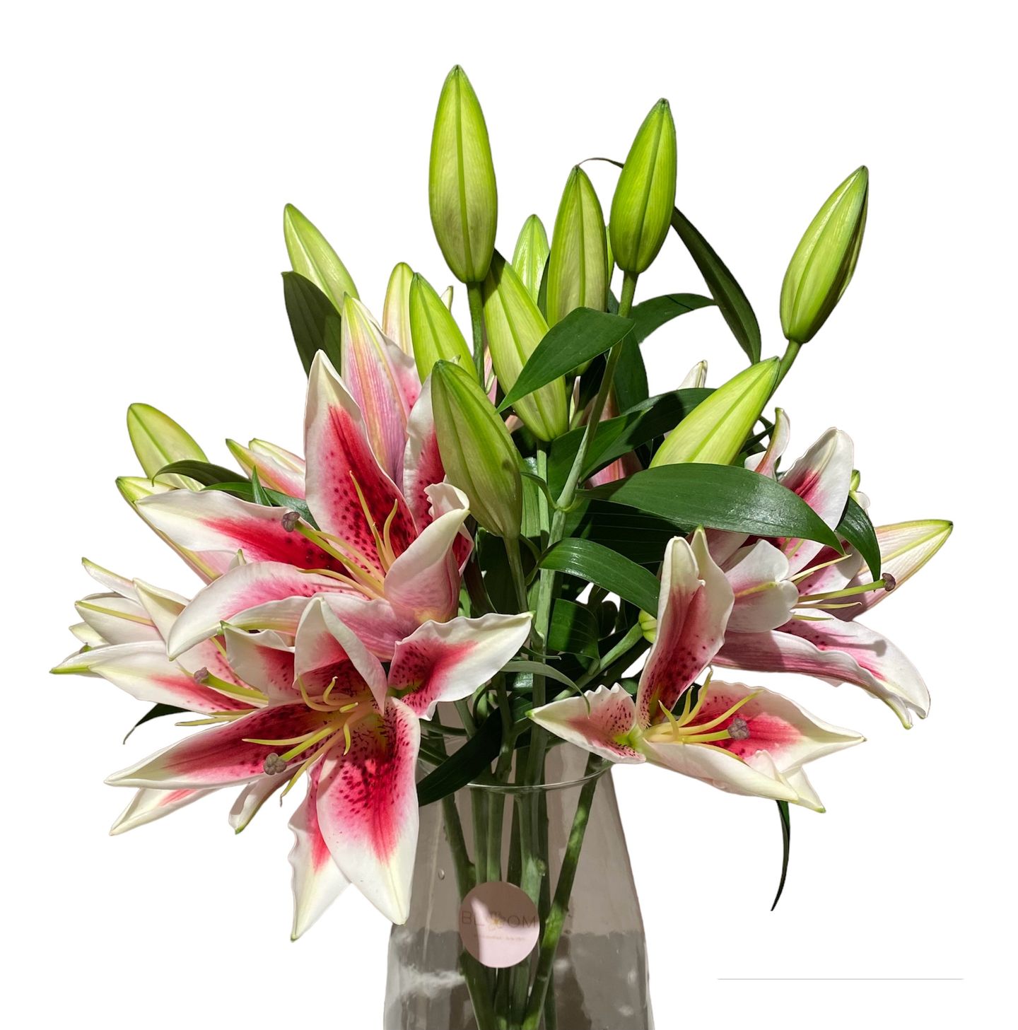 Layla Vase
