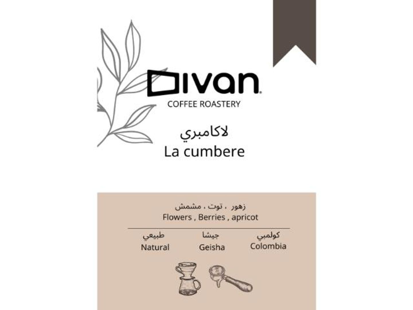 Colombian Lacambre Geisha, A Kilo
