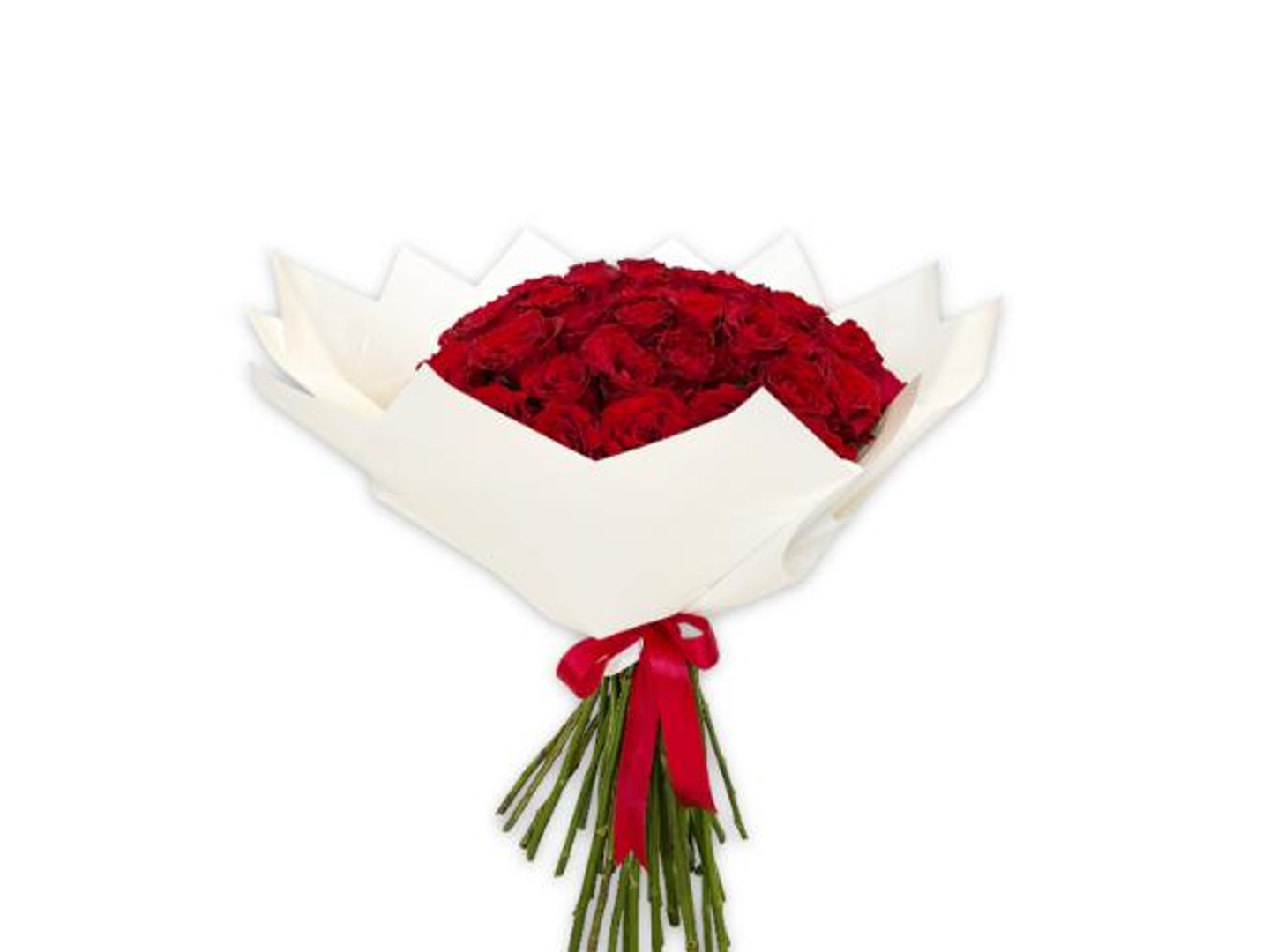 ورد أحمر بتغليف أبيض