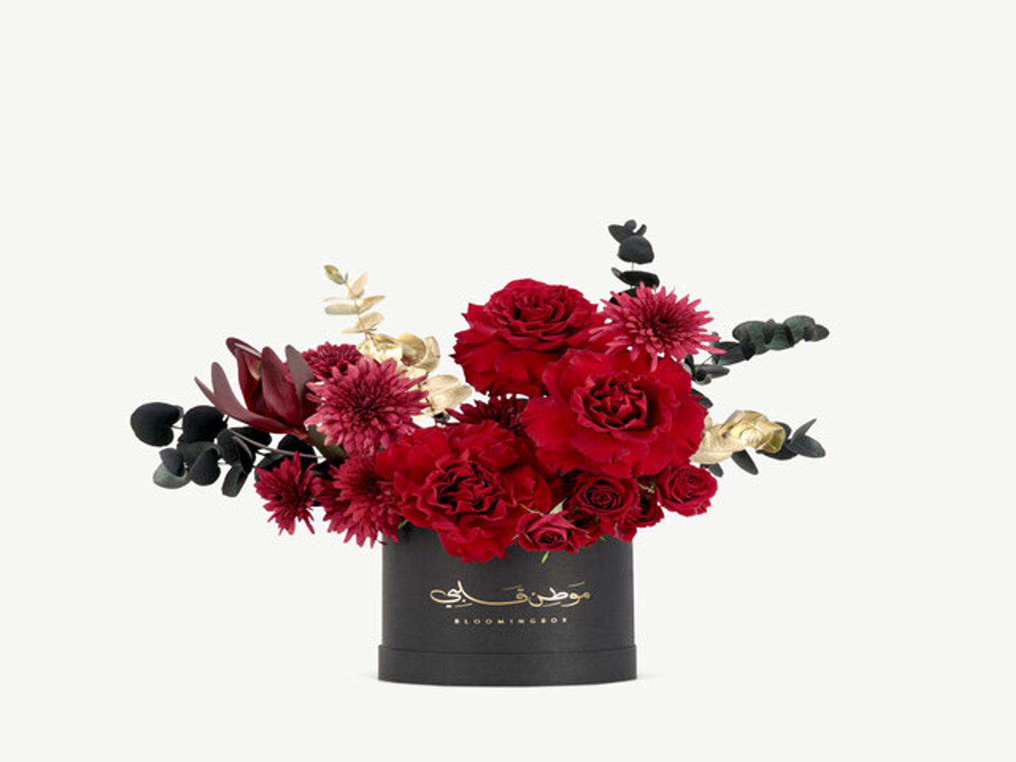 بوكس افوريا وسط