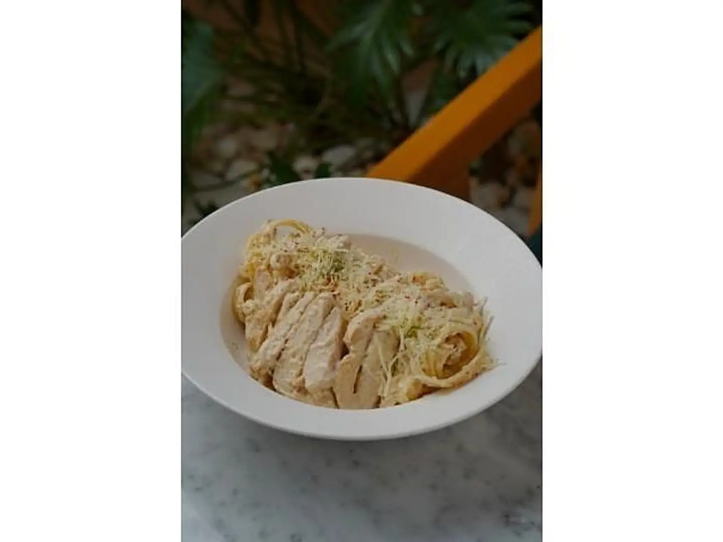 باستا فيتوتشيني الفريدو