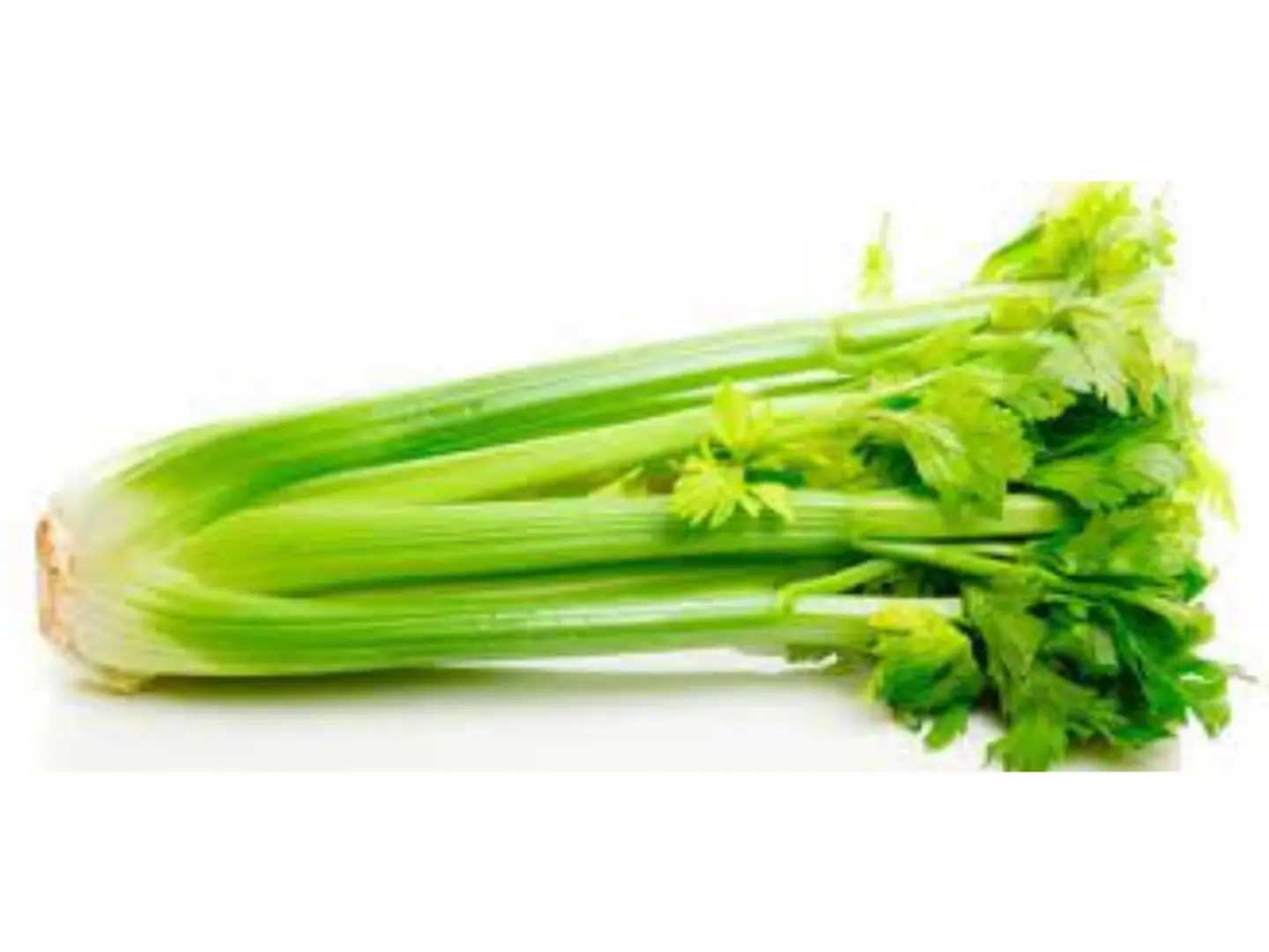 كرافس أمريكي - جرام 500