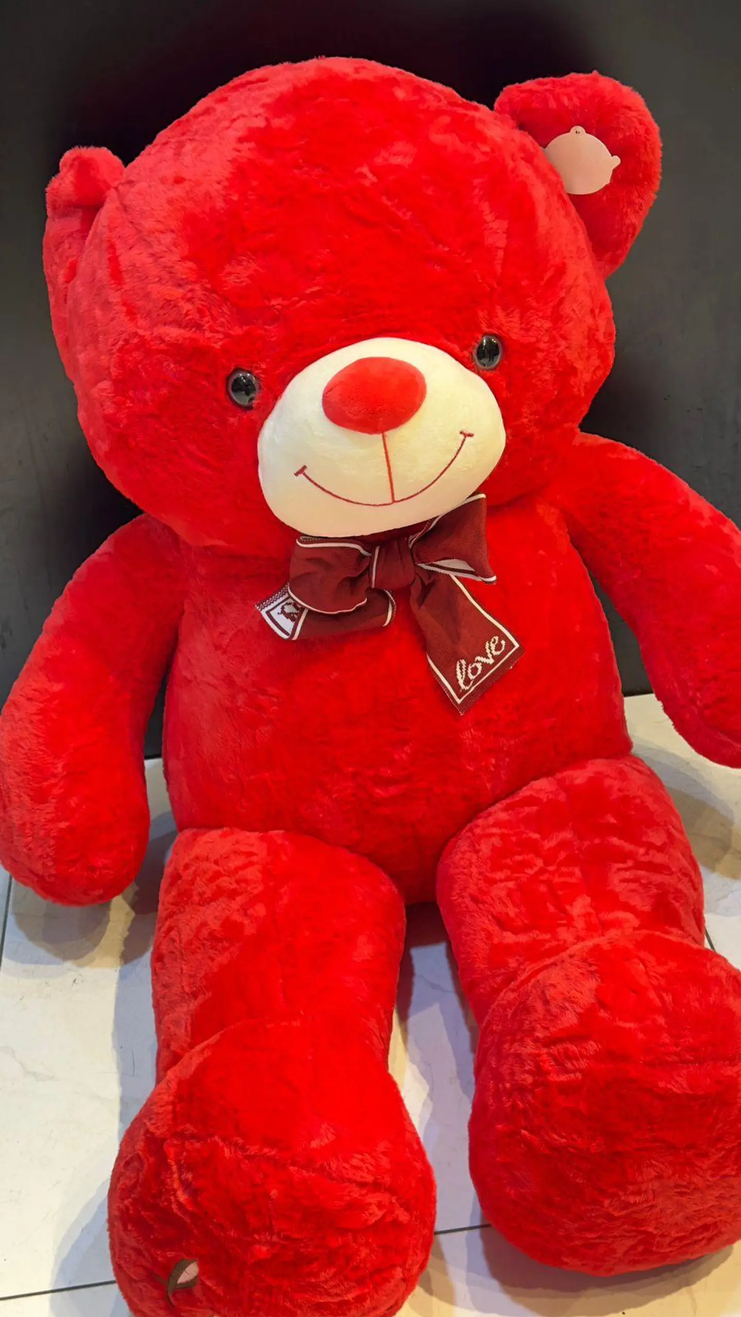 Large Red Teddy Bear
