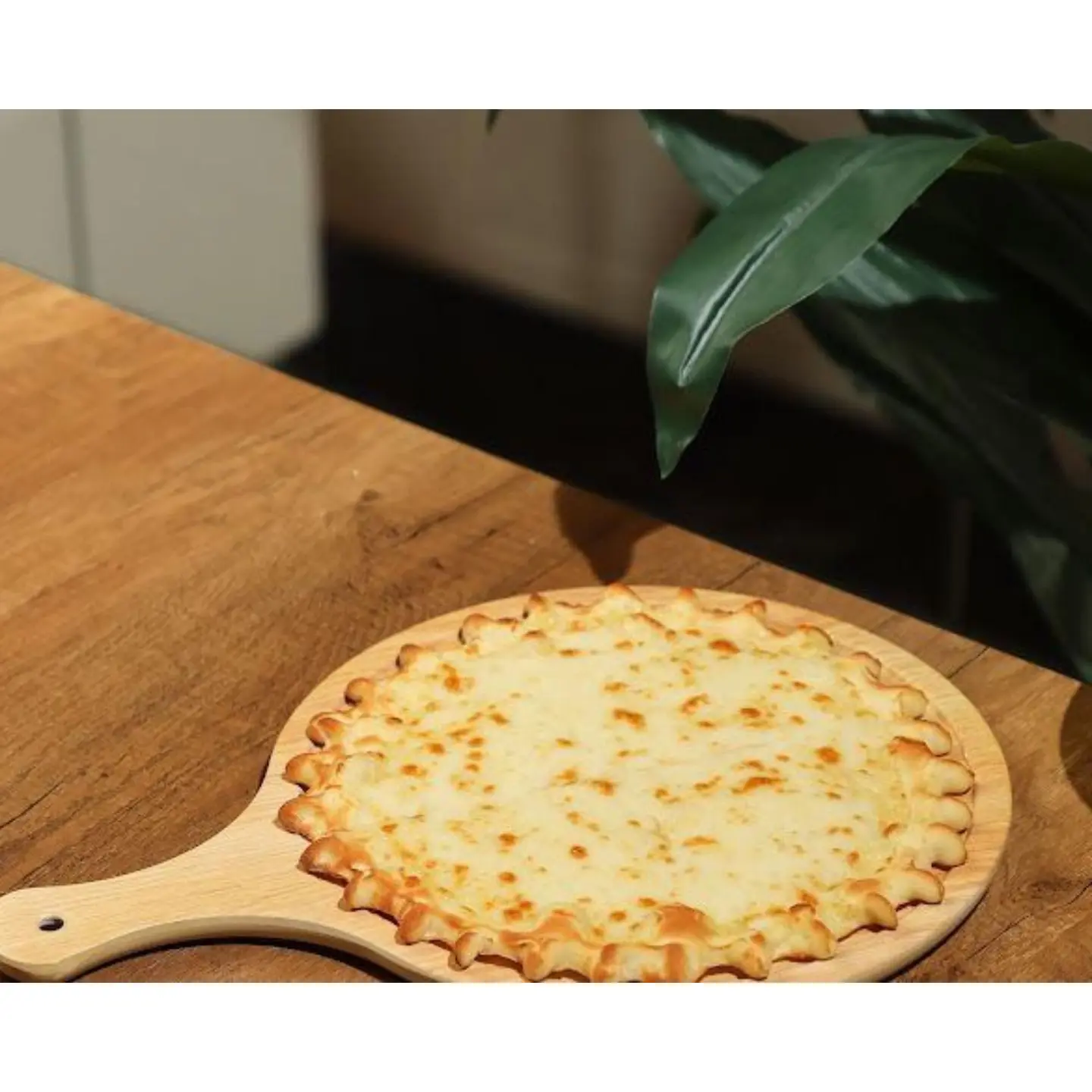 منقوشة جبن سايل