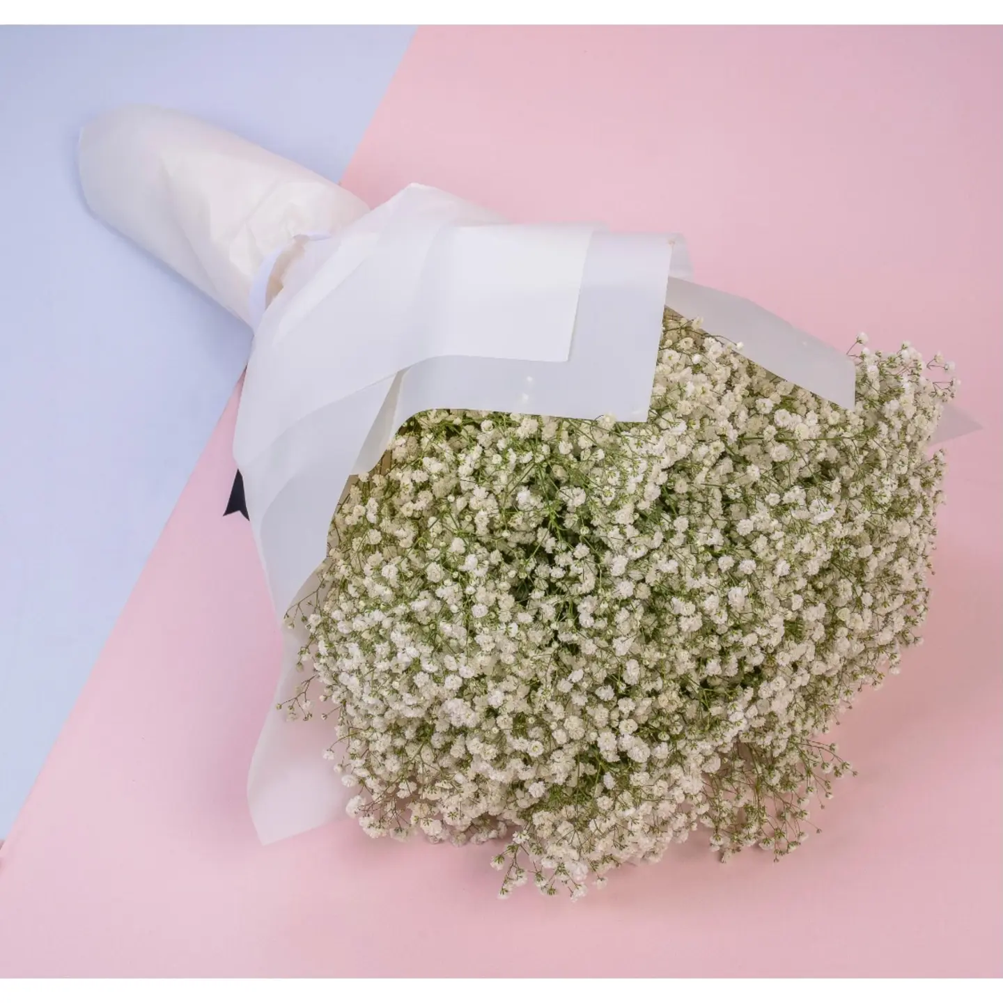 باقة فانيلا