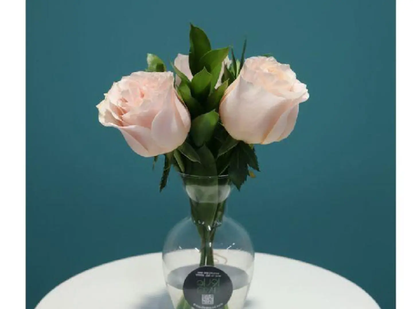 American Rare Colour Crown 433