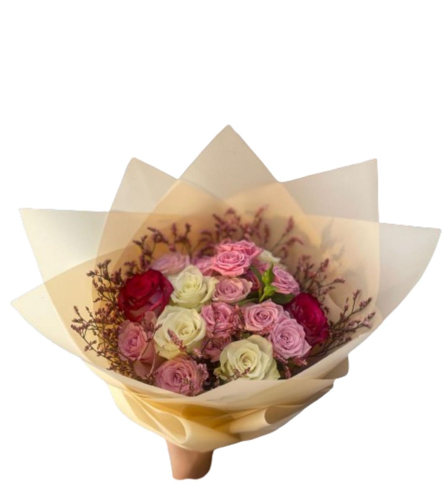 ورود مثلثات