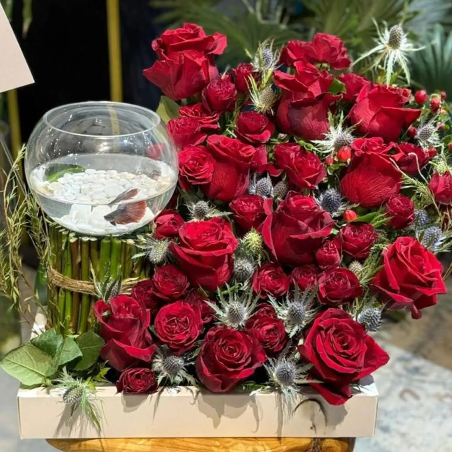 فازة سمك بورد احمر