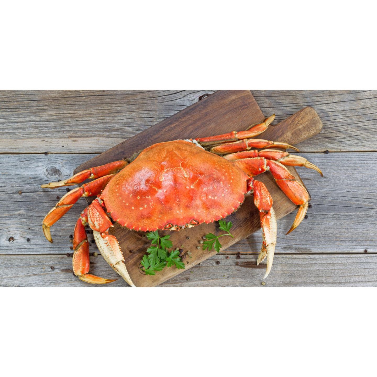Crab