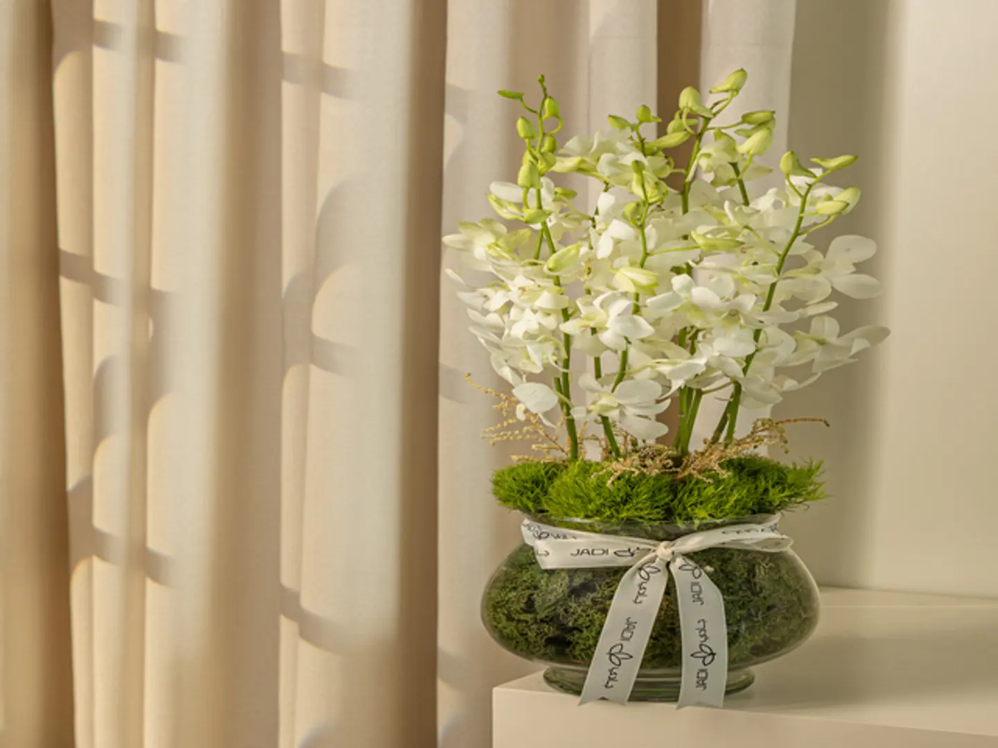 فازة الاوركيدا