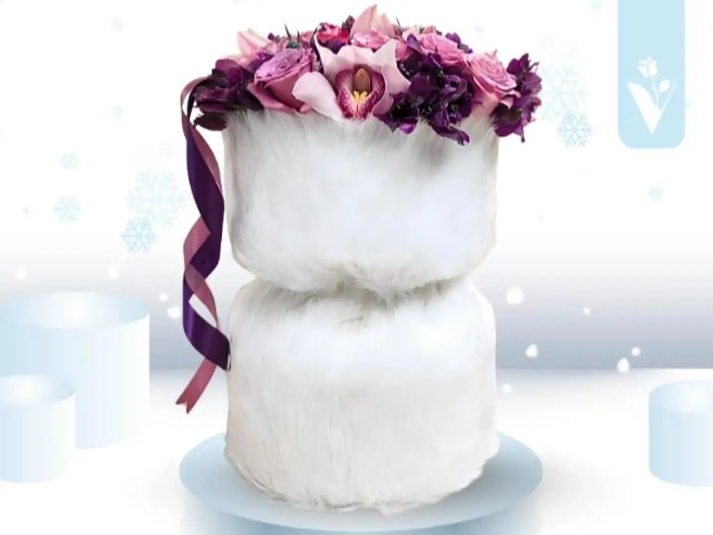 باقة موف الشتاء