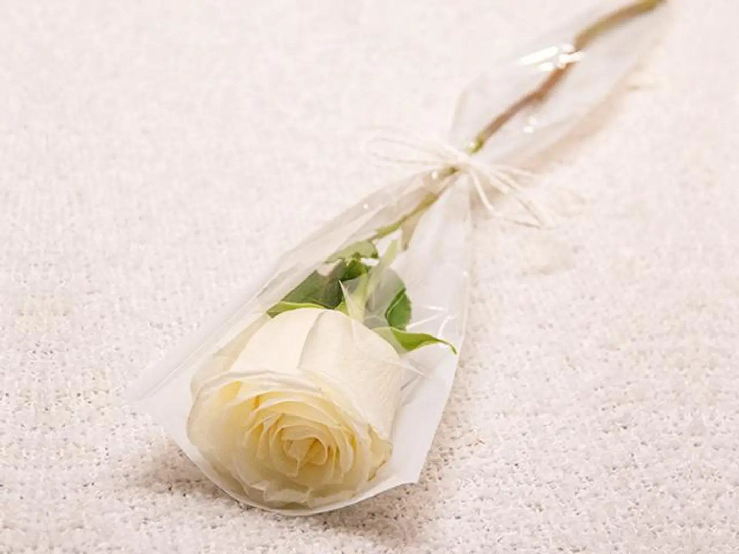 White Flower
