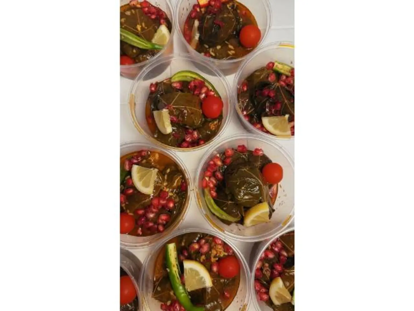 Grape Leaves Bites