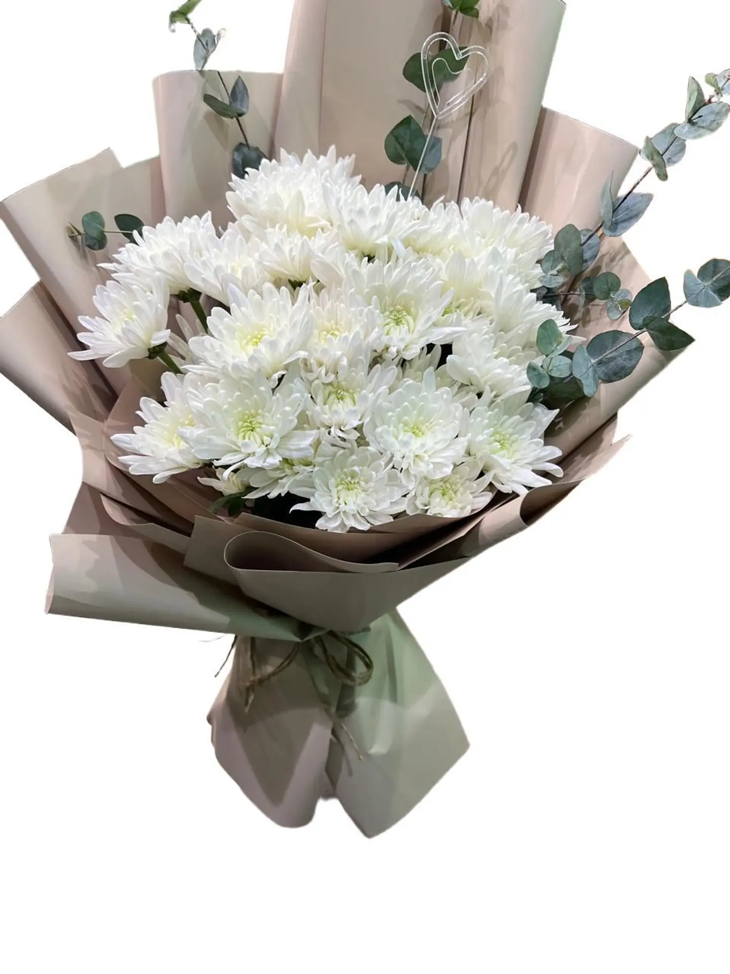 Sb Cloud Whisper 170