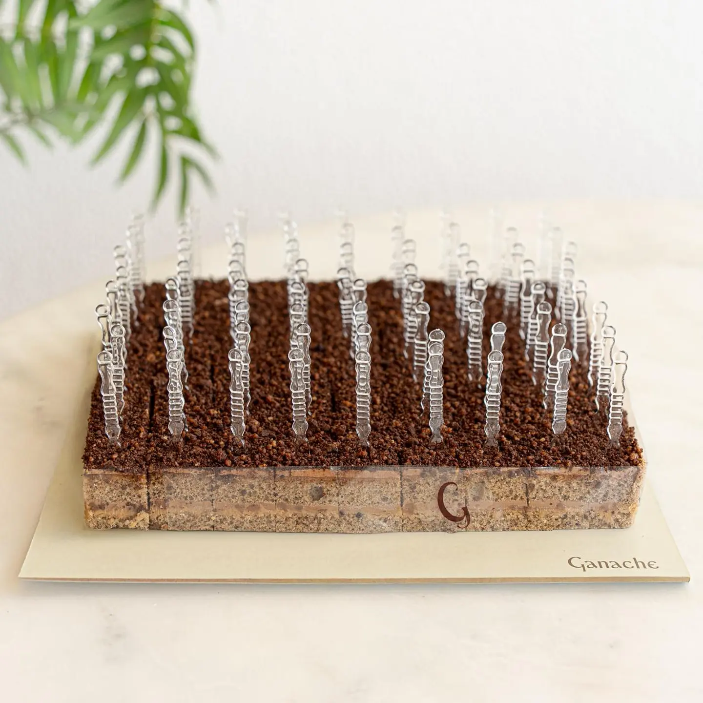 كوفي توفي كيوبز