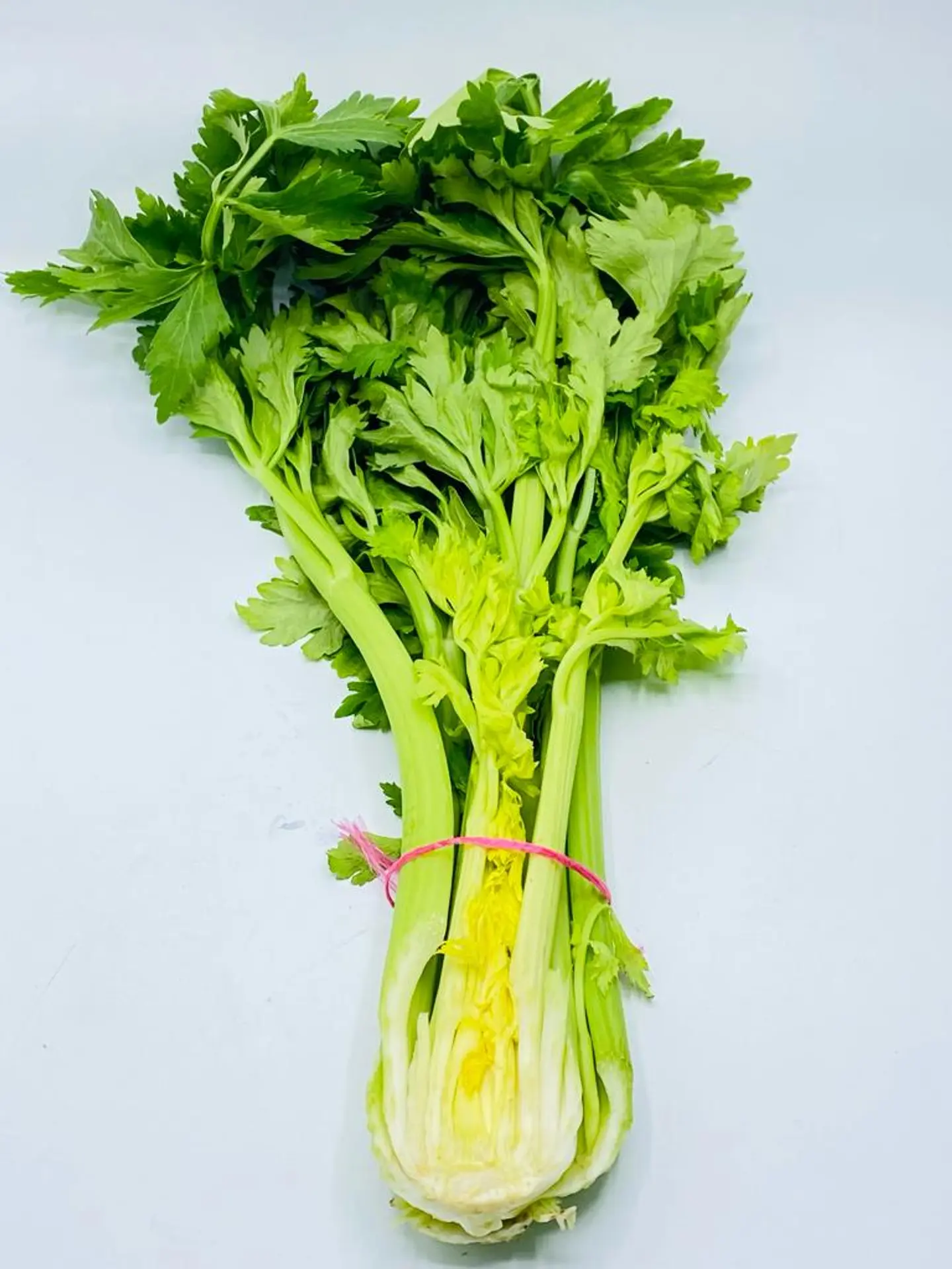 Bundle Celery