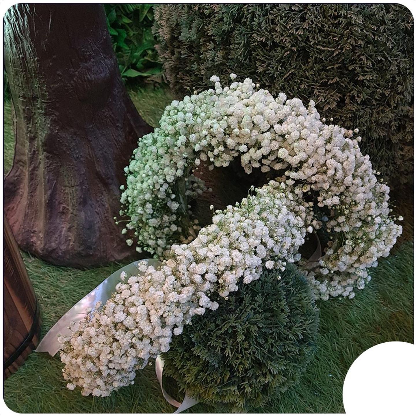 Single Dense Gypsophila Collar