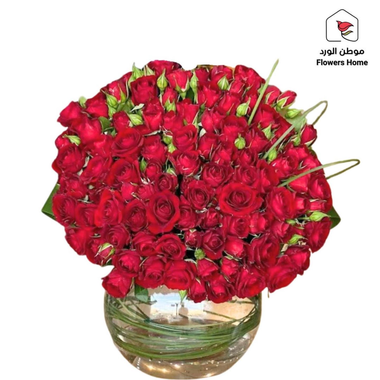 فازة 5