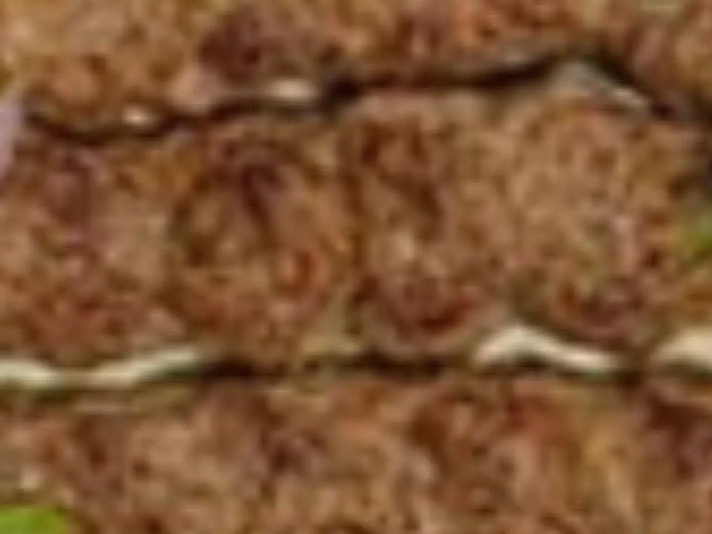 ساندوتش كباب لحم