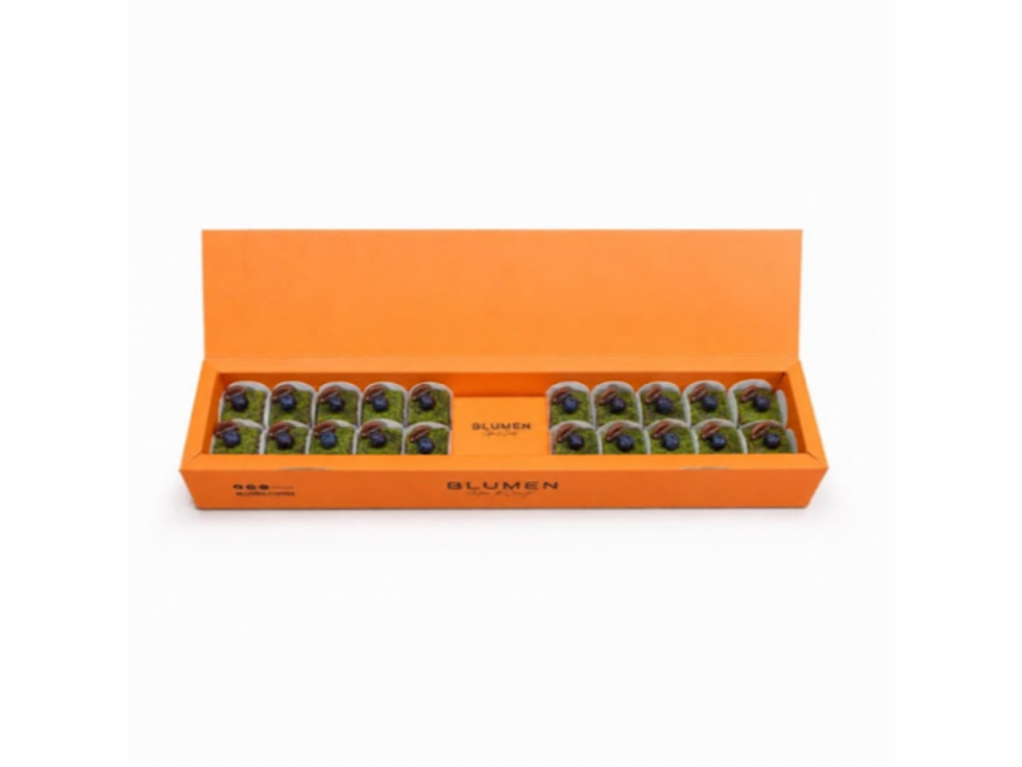 Pistachio Dream Bites