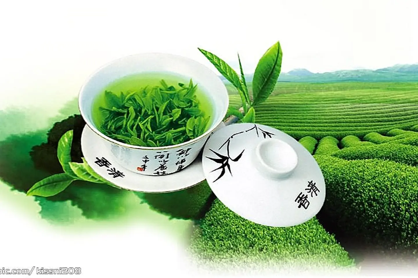 ترمس نعناع ساده