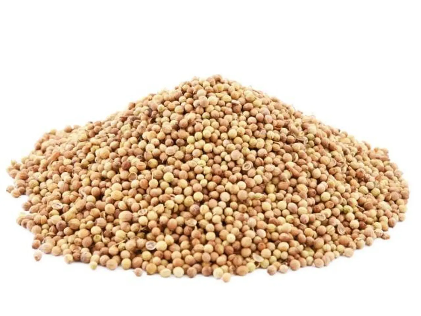 كزبره سوري مطحون